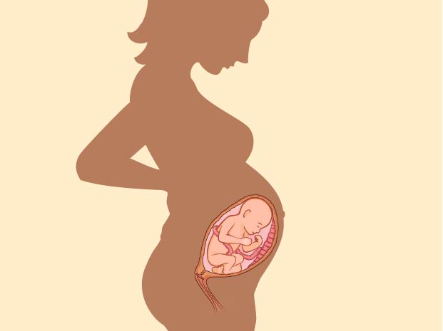 It's called the reproductive system because it supports the development and growth of a baby.
