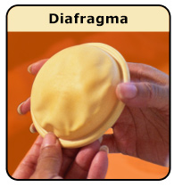 Diafragma