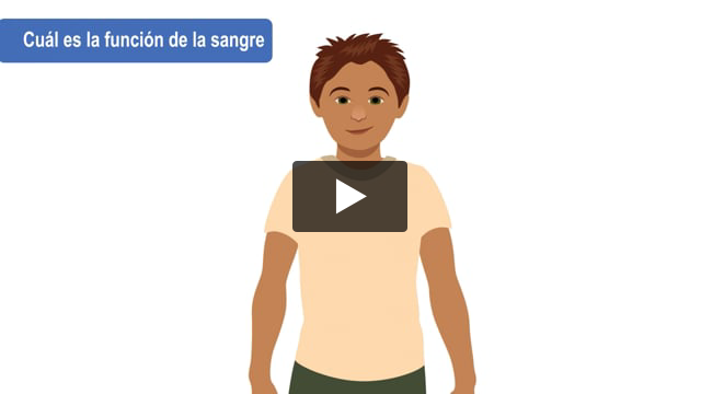 Cuál es la función de la sangre