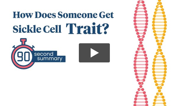 (AD) How Does Someone Get Sickle Cell Trait?