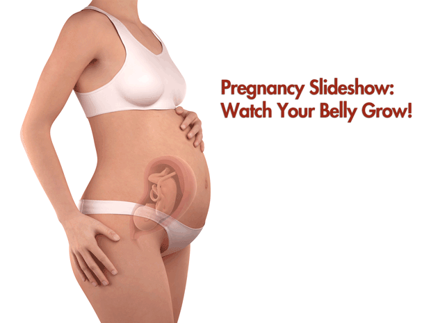 Pregnancy Slideshow: Watch Your Belly Grow!