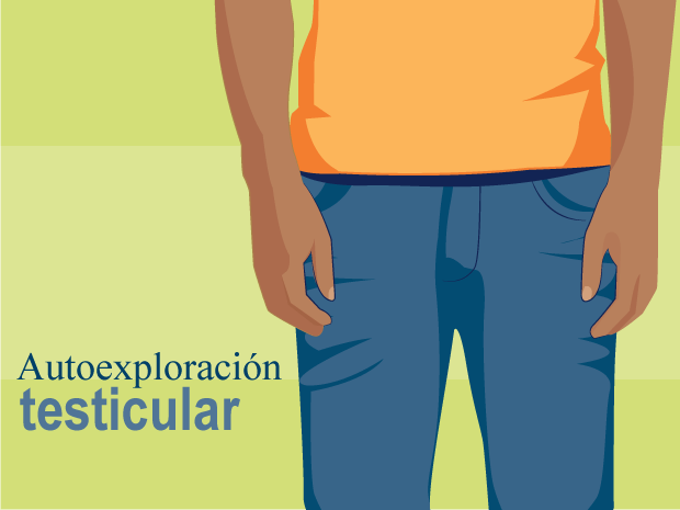 La autoexploración testicular es una forma fácil de que los chicos se exploren sus propios testículos para asegurarse de que no contienen bultos o protuberancias inusuales, que podrían ser el primer signo de un cáncer de testículo.Trata de hacerte una autoexploración testicular una vez al mes a fin de familiarizarte con el tamaño y la forma de tus testículos. Esto te facilitará descubrir la presencia de algo diferente o anormal en esa área.